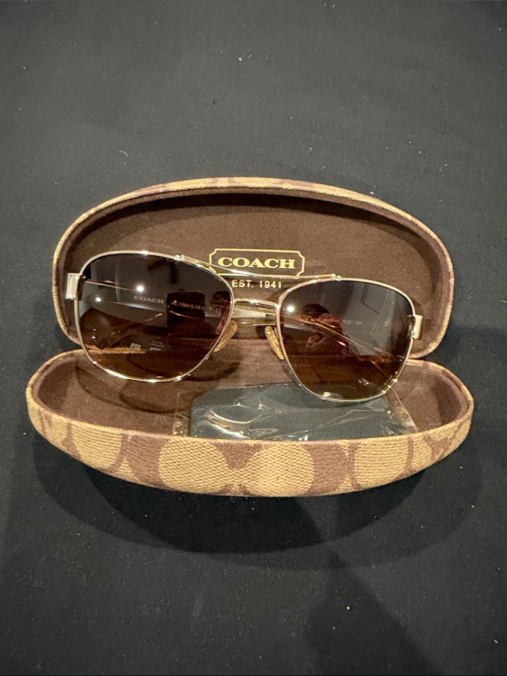 Coach Gold-Tone Frame with Brown Gradient Lenses Sunglasses